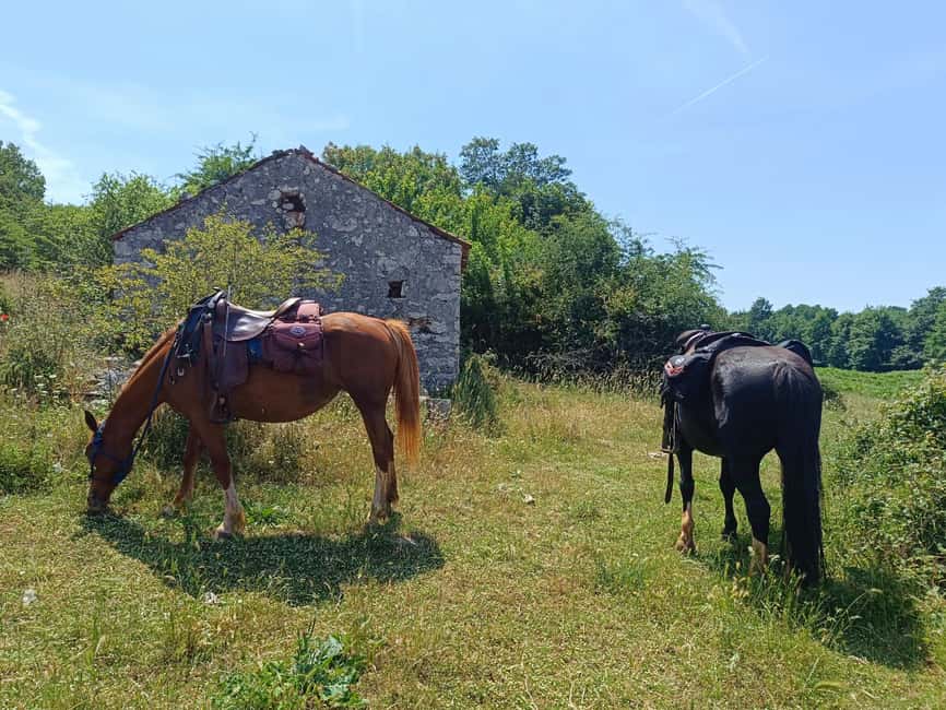 Gargano National Park: a horseback ride - Fifty minutes through Gargano’s Mediterranean scrub