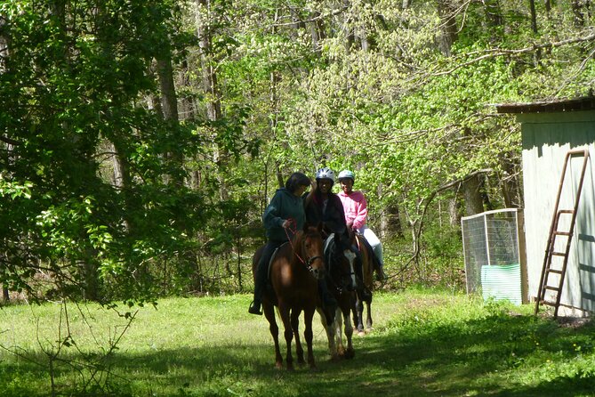 Georgia Horseback Ride with Wine Tasting - Is $284.11 a fair price?