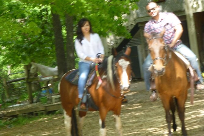 Georgia Horseback Ride with Wine Tasting - Who should book this Georgia outing?