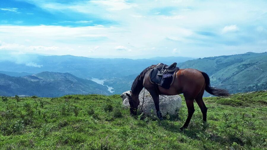 Gerês Braga: Horseback Ride in Peneda Gerês National Park - Key points to know before you book