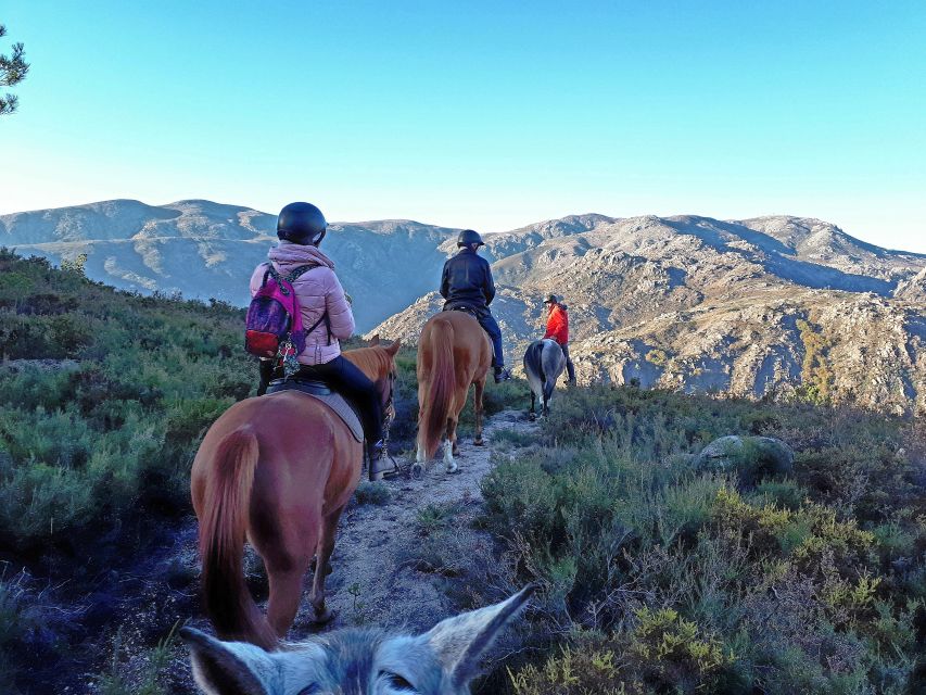 Gerês Braga: Horseback Ride in Peneda Gerês National Park - Why this ride feels different from a standard trail outing