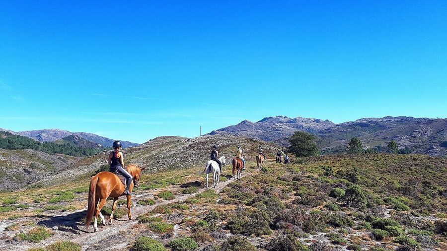 Gerês Braga: Horseback Ride in Peneda Gerês National Park - Riding through Campo do Gerês