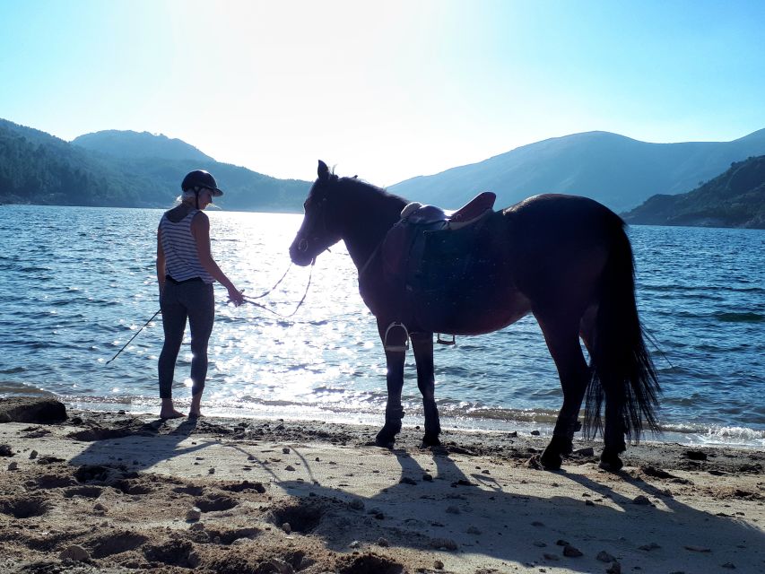 Gerês Braga: Horseback Ride in Peneda Gerês National Park - The $97 price: fair value for the right rider