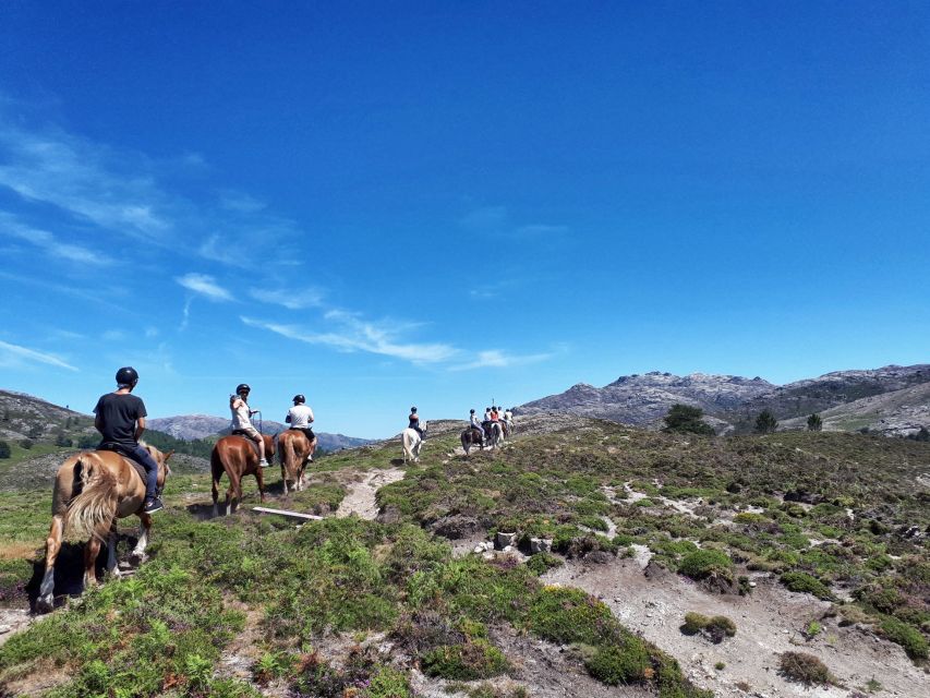 Gerês Braga: Horseback Ride in Peneda Gerês National Park - Who will enjoy this experience most
