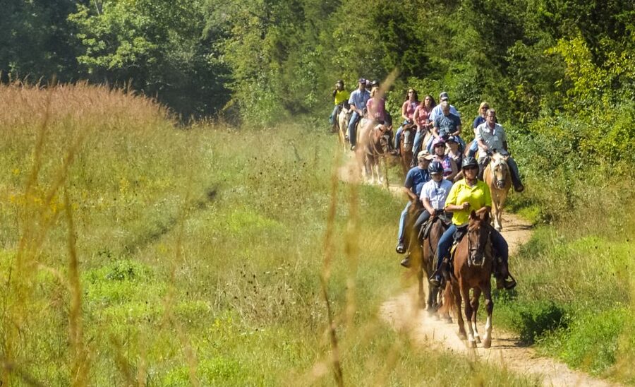 Gettysburg: Licensed Guided Battlefield Horseback Tour - Following the route toward the Virginia Monument
