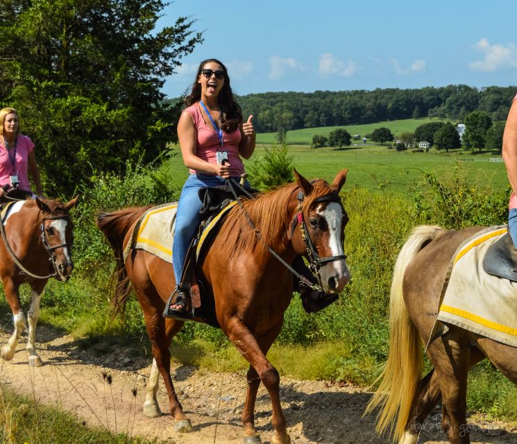 Gettysburg: Licensed Guided Battlefield Horseback Tour - The wide views from Spangler Farm