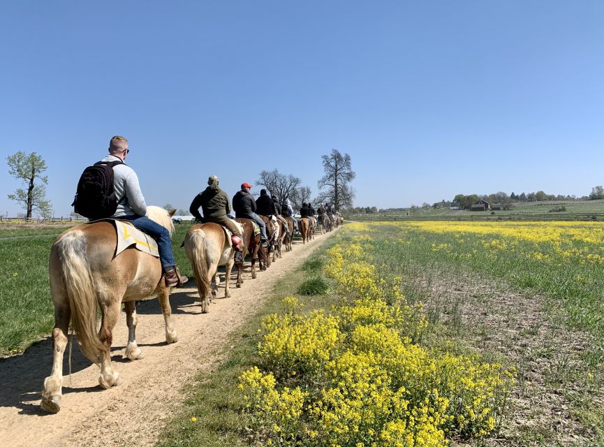 Gettysburg: Licensed Guided Battlefield Horseback Tour - Who should book this ride?