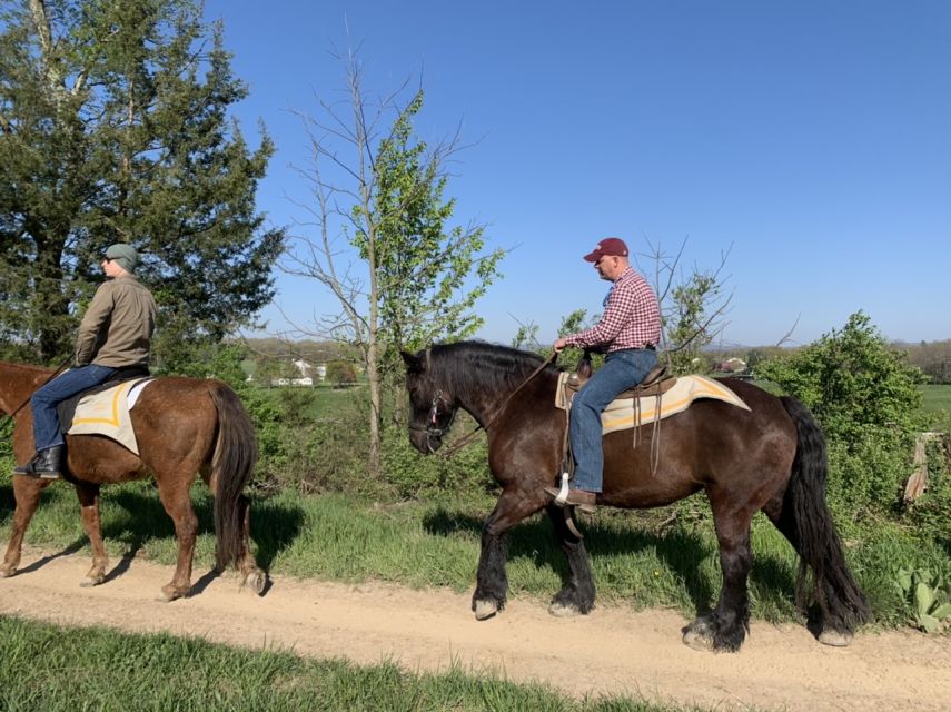 Gettysburg: Licensed Guided Battlefield Horseback Tour - Meeting the horses at McMillan Woods