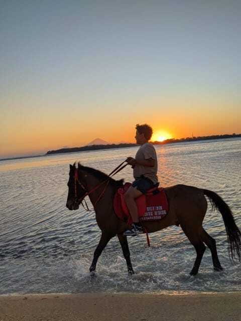 Gili Air: 1 Hour Horseback Riding With hotel Transfer - Who should book this ride?