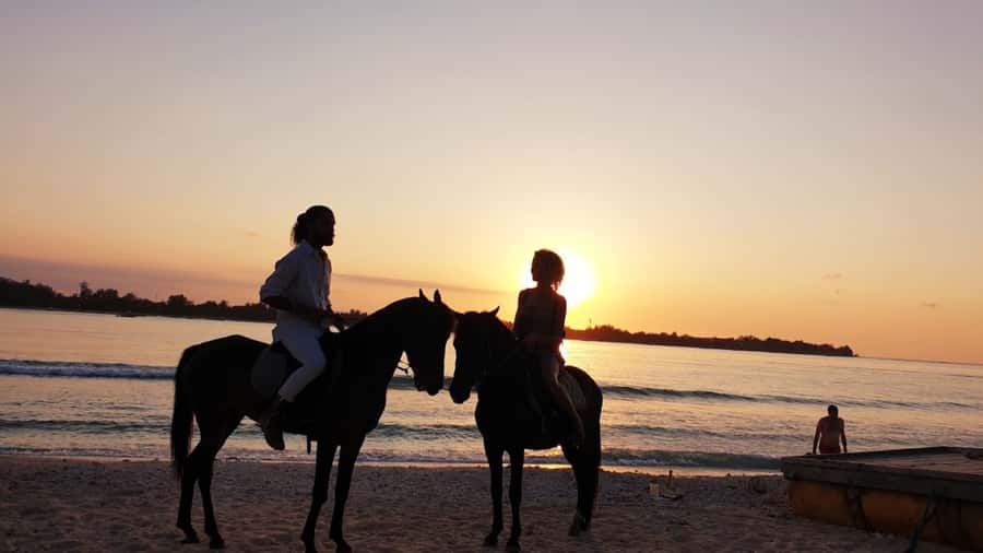 Gili Meno: 1-Hour Beginner Horse Riding Experience - Why the horses matter more than the scenery