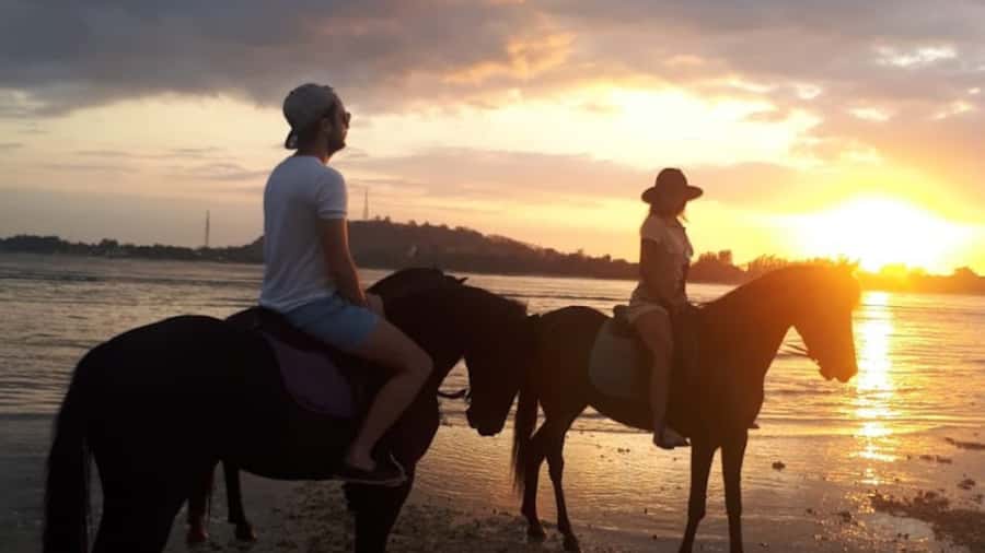 Gili Meno: 1-Hour Beginner Horse Riding Experience - Timing, pickup, and the details worth checking