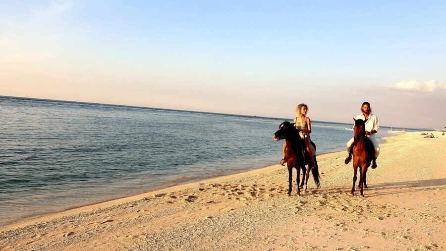 Gili Meno: 1-Hour Beginner Horse Riding Experience - Is $39 good value for one hour?