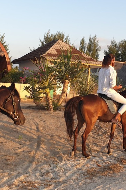 Gili Meno: 1-Hour Beginner Horse Riding Experience - Who will enjoy this Gili Meno ride?