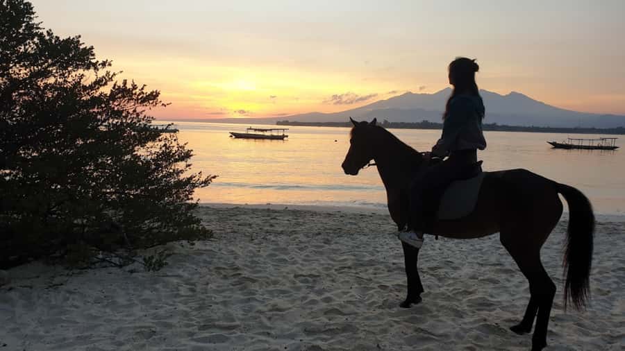 Gili Meno: 1-Hour Beginner Horse Riding Experience - Meeting the horse and getting comfortable in the saddle