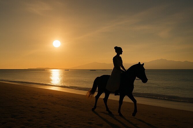 Gili Meno Horse Riding Adventure on the Beach for 1 Hour - Key details before you book