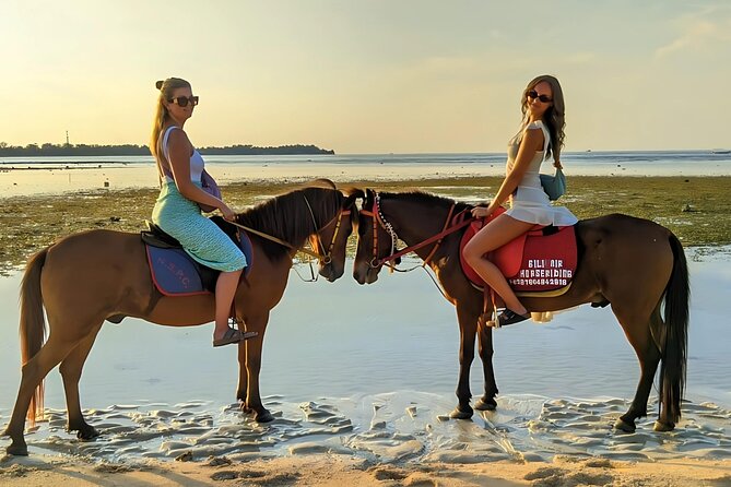 Gili Meno Horse Riding Adventure on the Beach for 1 Hour - Hotel pickup around Gili Meno