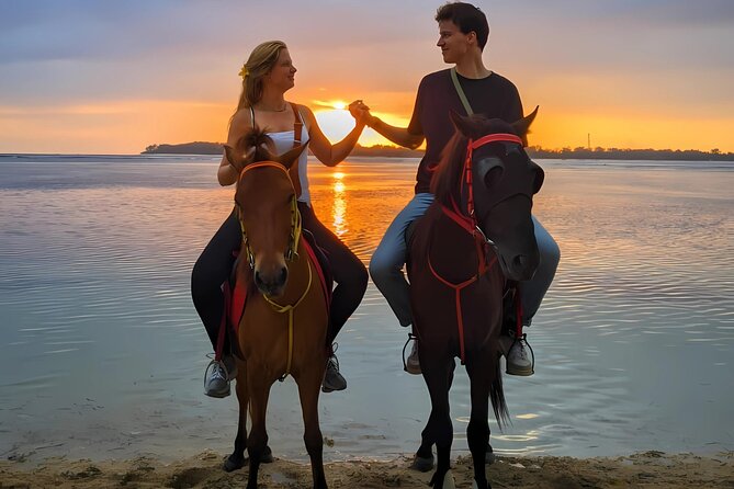 Gili Meno Horse Riding Adventure on the Beach for 1 Hour - Following the white-sand shoreline for one hour