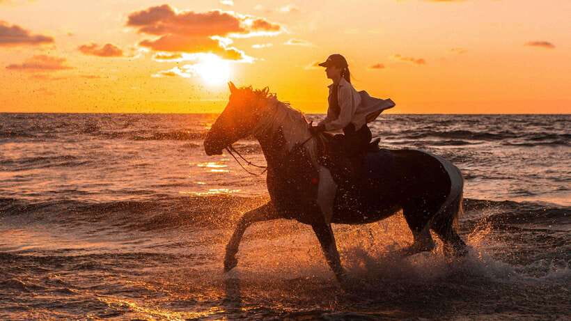 Gili Trawangan: Beach Horseback Riding with Pickup Hotel - Caves and elephant carvings add character