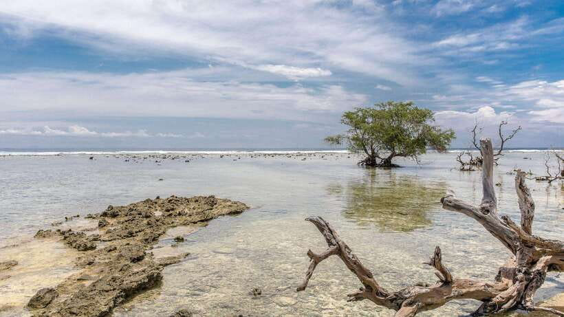 Gili Trawangan: Beach Horseback Riding with Pickup Hotel - Is the $45 price fair?