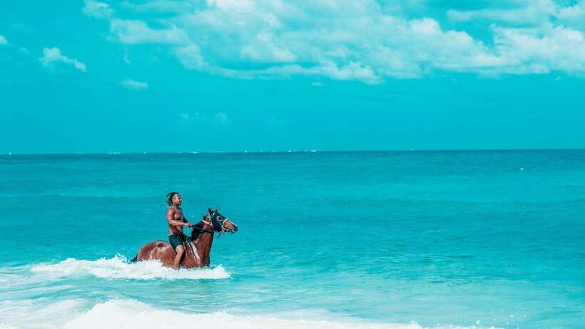 Gili Trawangan: Beach Horseback Riding with Pickup Hotel - Who should book this experience?
