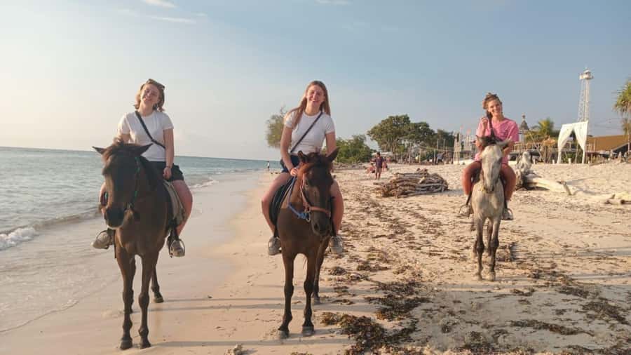 Gili Trawangan: Horse Riding on the Beach - Key points to know before you saddle up