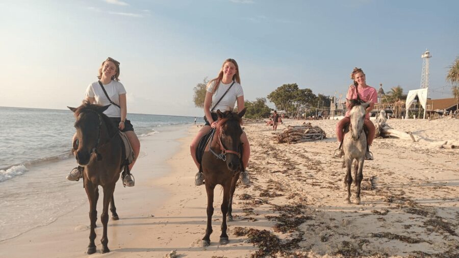 Gili Trawangan: Horse Riding on the Beach - The best parts of the scenery