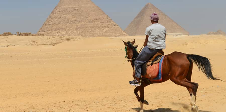 Giza: Arabian Horse Tour Around the Giza Pyramids - Meeting the Arabian horse at the stables