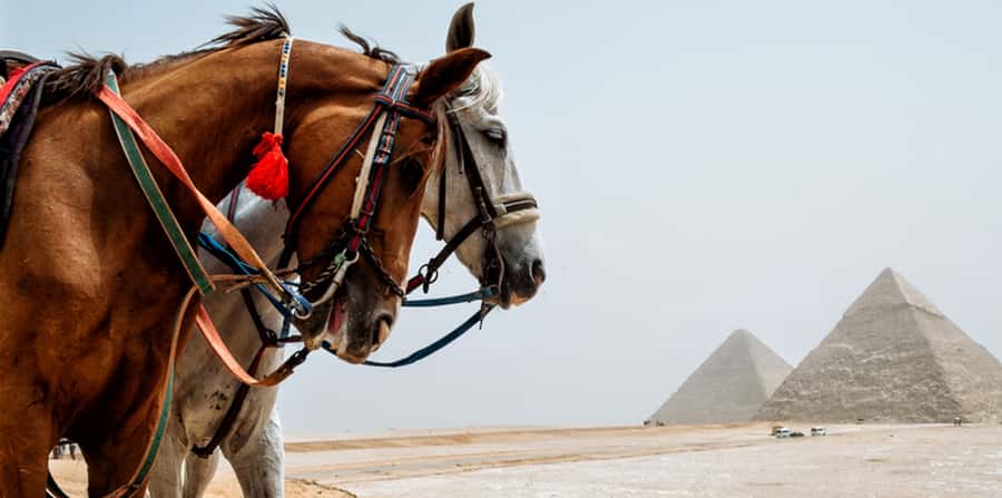 Giza: Arabian Horse Tour Around the Giza Pyramids - The Great Sphinx from the outer desert