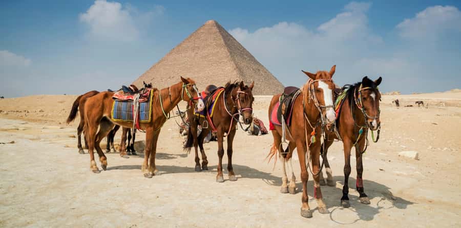 Giza: Arabian Horse Tour Around the Giza Pyramids - The camel-ride detail needs clarification