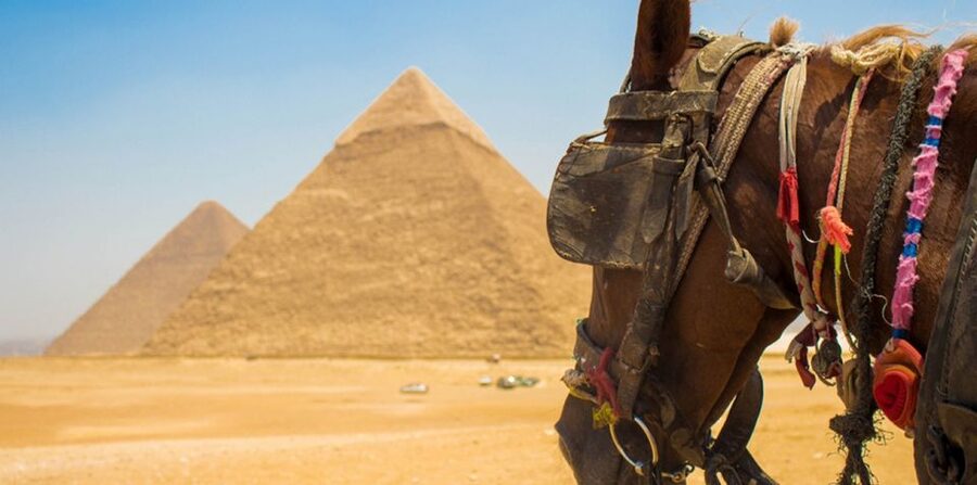 Giza: Arabian Horse Tour Around the Giza Pyramids - Animal welfare is the biggest concern