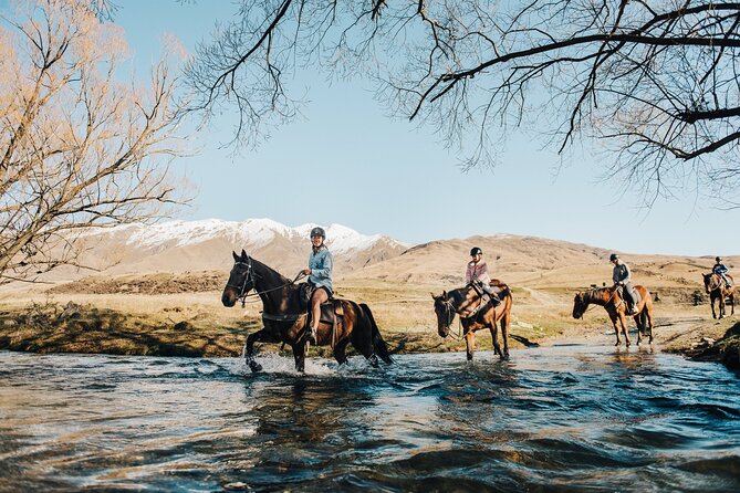 Gold Discovery Trail Horse Trek Cardrona - Most popular! - What makes this Cardrona ride special