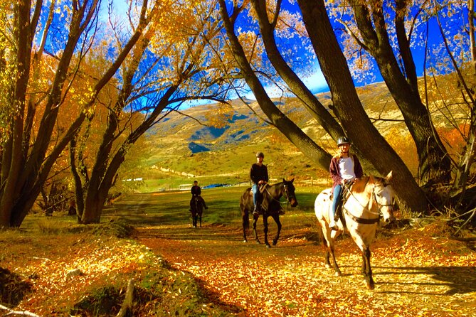 Gold Discovery Trail Horse Trek Cardrona - Most popular! - Arrival at 2125 Cardrona Valley Road
