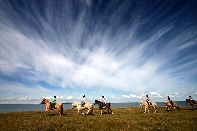 Golden Circle & Viking Horse Experience - What the bus adds to a long Iceland day