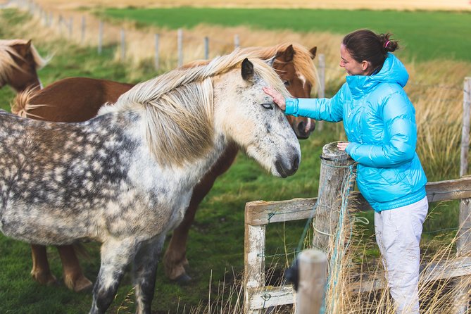 Golden Circle & Viking Horse Experience - How much time do you really get?
