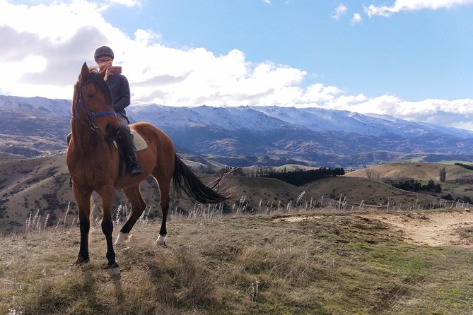 Golden Hills Horse Trek in Central Otago - Meeting the horses in Cromwell