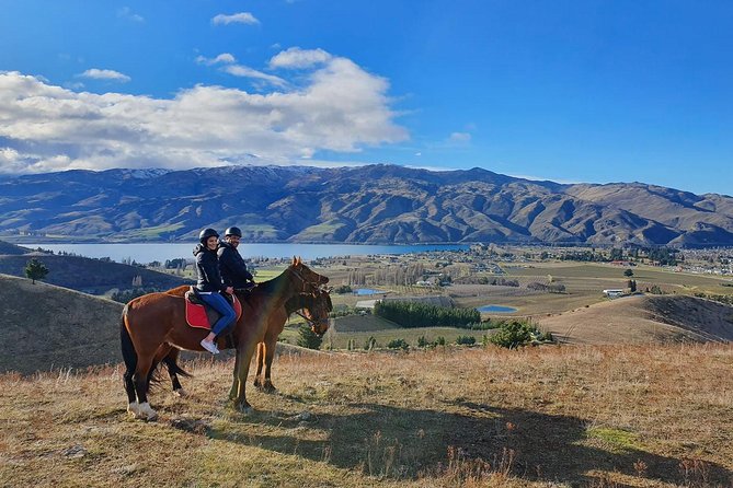 Golden Hills Horse Trek in Central Otago - Guides who put nervous riders at ease