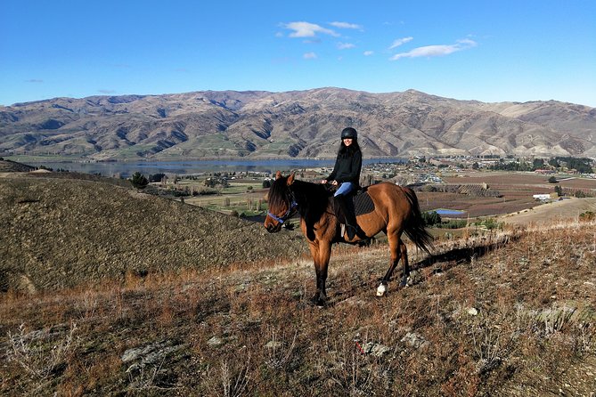 Golden Hills Horse Trek in Central Otago - Riding through Central Otago orchards