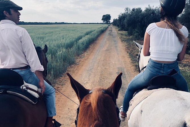 Granada & Sierra Nevada Horse Riding Tour - Meeting the Andalusian horses