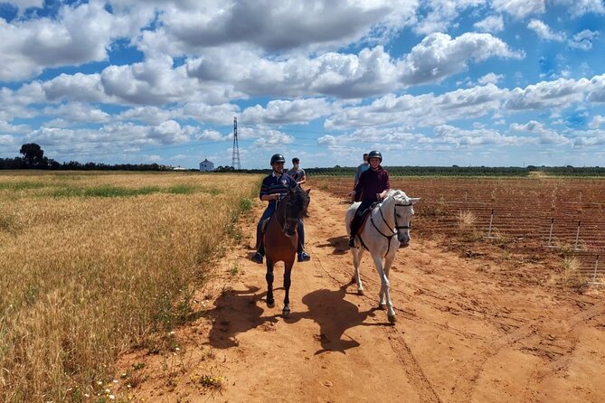 Granada & Sierra Nevada Horse Riding Tour - Choosing between the two ranch options