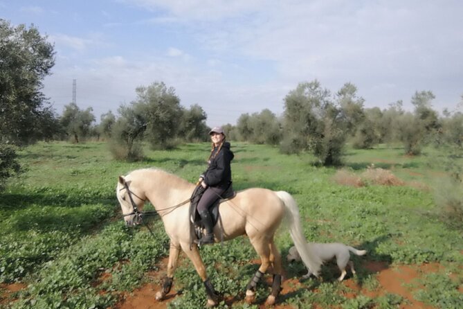 Granada & Sierra Nevada Horse Riding Tour - Is $150.51 good value?