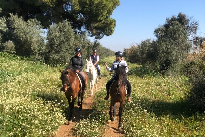 Granada & Sierra Nevada Horse Riding Tour - Who will enjoy this ride most?
