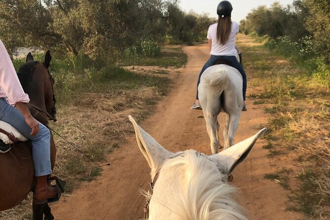 Granada & Sierra Nevada Horse Riding Tour - Practical preparation for the day