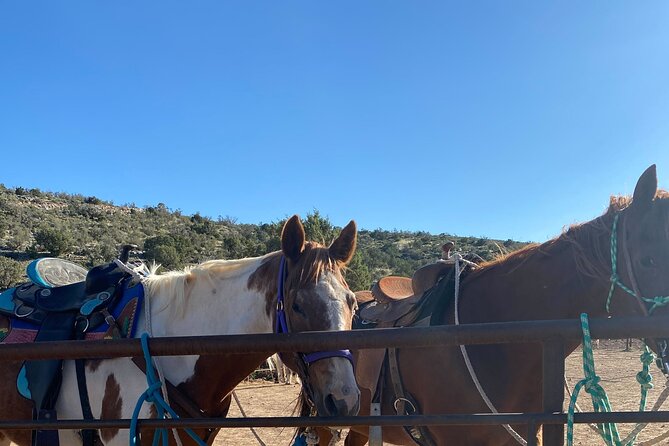 Grand Canyon Horseback Tour - Riding through Arizona’s Joshua tree country