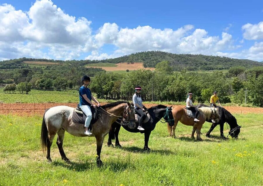 Grimaud: Horseback Riding & Wine Tasting in Maures Forest - A quieter side of the Gulf of Saint-Tropez