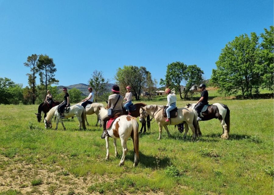 Grimaud: Horseback Riding & Wine Tasting in Maures Forest - Why the $93 price can make sense