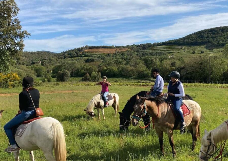 Grimaud: Horseback Riding & Wine Tasting in Maures Forest - Who should book this ride?