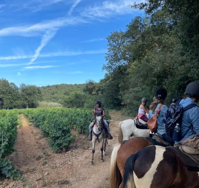 Grimaud: Horseback Riding & Wine Tasting in Maures Forest - Should you book the Grimaud horseback ride?