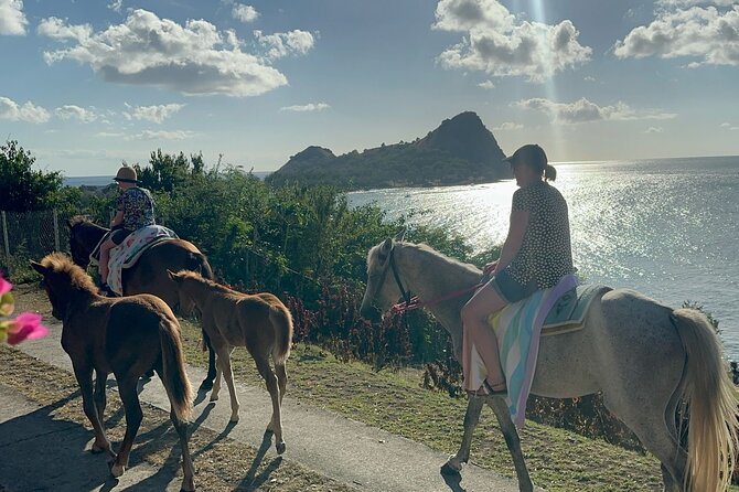 Gros Islet Village Horseback Riding run with Dore's riding Stable - Starting in Cap Estate with the right expectations