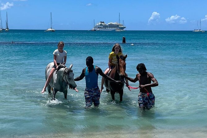 Gros Islet Village Horseback Riding run with Dore's riding Stable - Seeing Gros Islet beyond the Friday night party