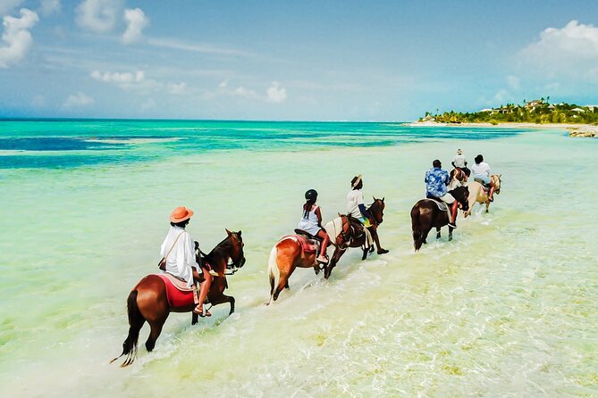 Group Beach and Ocean Horseback Adventure in Providenciales - What Makes This Providenciales Horse Ride Different